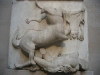 feidias - metopy parthenon - vitezstvi kentaura feidias - metopy parthenon - vitezstvi kentaura